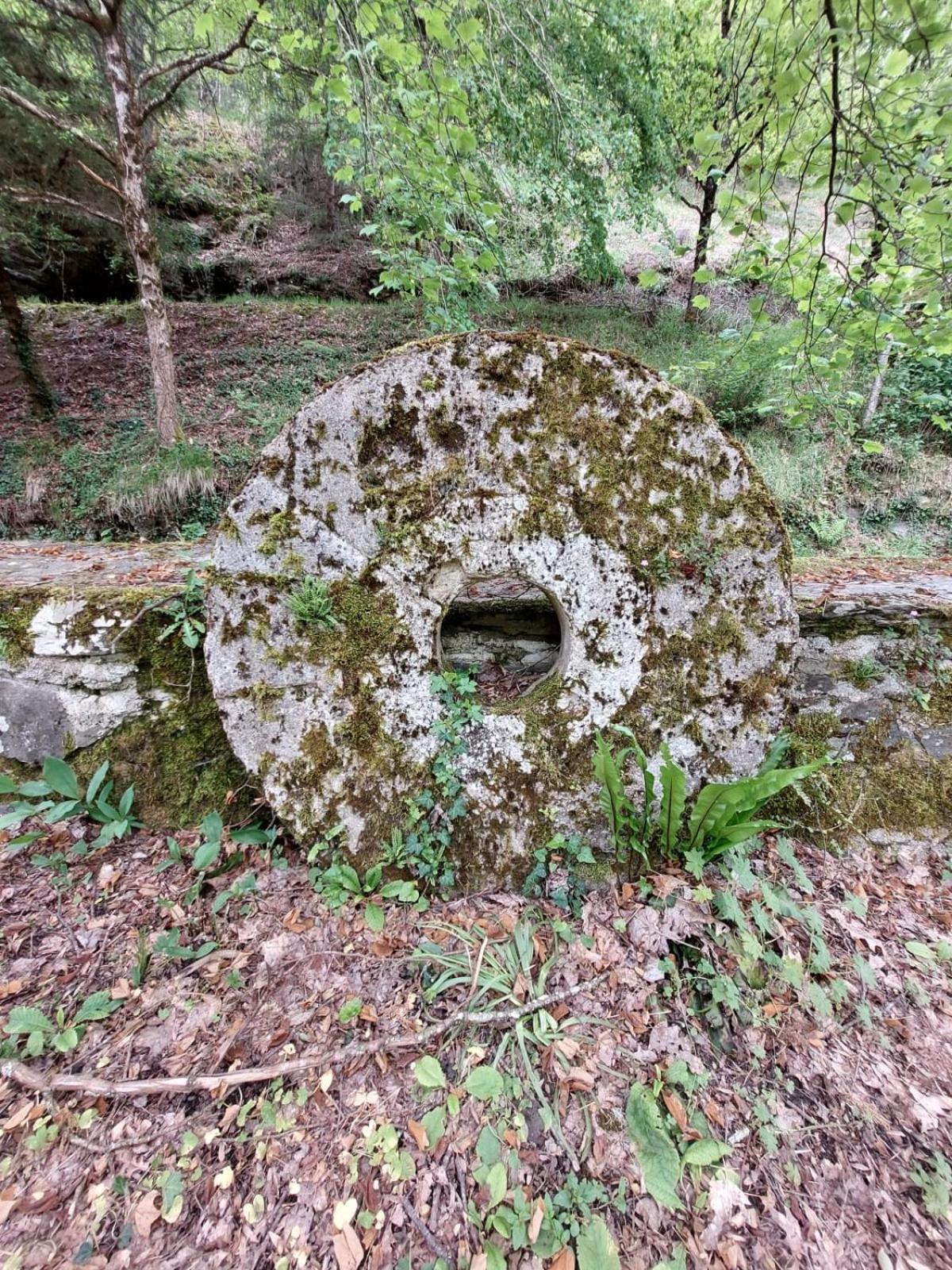 Moulin De Serre Βίλα Cassagnes-Bégonhès Εξωτερικό φωτογραφία